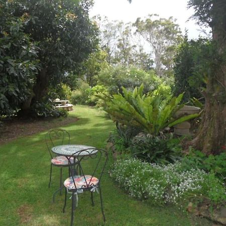 Moonya Avocado Farm Cottage - With Early Check-In Mount Tamborine Exterior photo