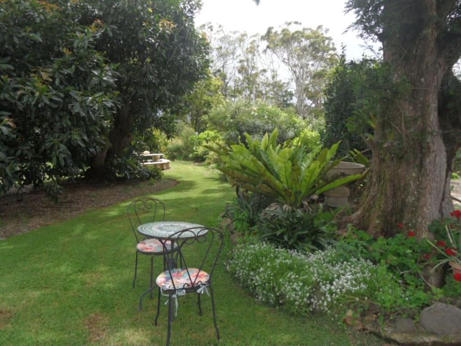 Moonya Avocado Farm Cottage - With Early Check-In Mount Tamborine Exterior photo