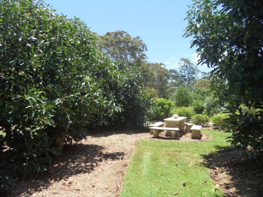 Moonya Avocado Farm Cottage - With Early Check-In Mount Tamborine Exterior photo